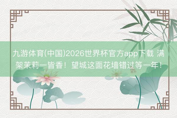 九游体育(中国)2026世界杯官方app下载 满架茉莉一皆香！望城这面花墙错过等一年！