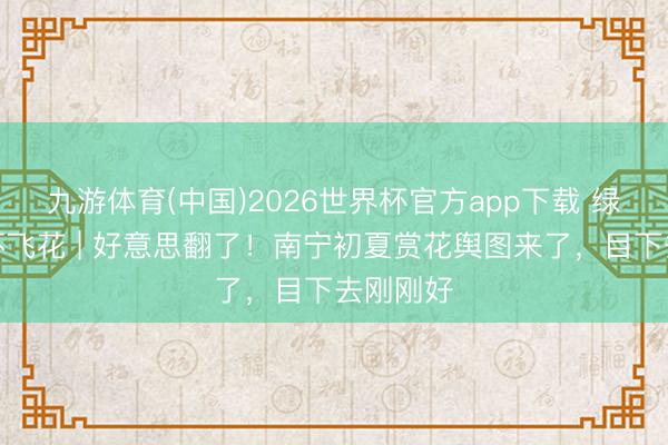九游体育(中国)2026世界杯官方app下载 绿城无处不飞花 | 好意思翻了！南宁初夏赏花舆图来了，目下去刚刚好