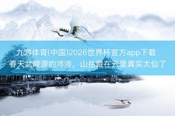 九游体育(中国)2026世界杯官方app下载 春天武陵源的涔涔，山岳藏在云里真实太仙了