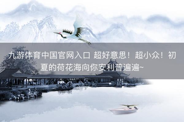 九游体育中国官网入口 超好意思！超小众！初夏的荷花海向你安利普遍遍~