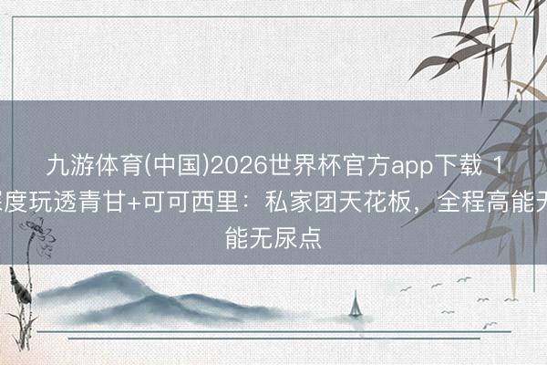 九游体育(中国)2026世界杯官方app下载 11天深度玩透青甘+可可西里：私家团天花板，全程高能无尿点