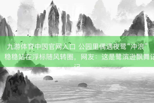九游体育中国官网入口 公园里偶遇夜鹭“冲浪”，稳稳站在浮标随风转圈，网友：这是鹭滨逊飘舞记