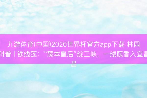 九游体育(中国)2026世界杯官方app下载 林园科普 | 铁线莲：“藤本皇后”绽三峡，一缕藤香入宜昌