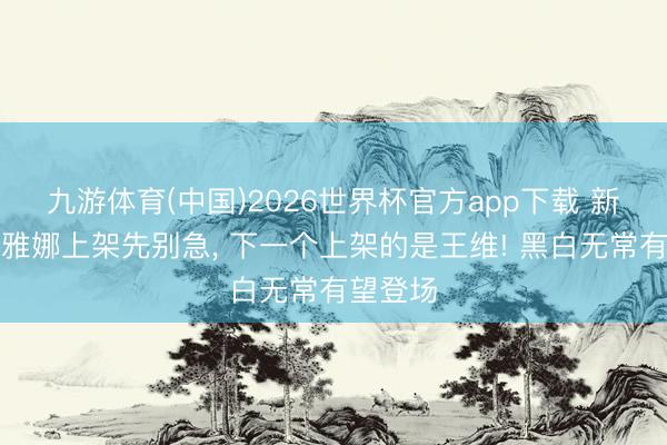 九游体育(中国)2026世界杯官方app下载 新英杰卢雅娜上架先别急， 下一个上架的是王维! 黑白无常有望登场