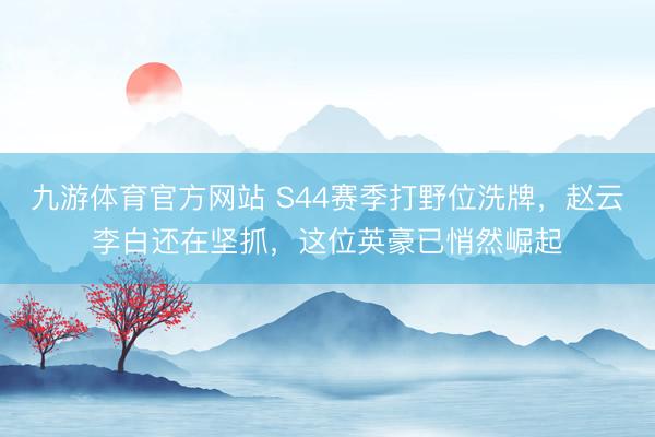 九游体育官方网站 S44赛季打野位洗牌，赵云李白还在坚抓，这位英豪已悄然崛起