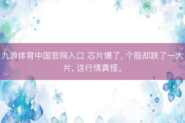 九游体育中国官网入口 芯片爆了， 个股却跌了一大片， 这行情真怪。