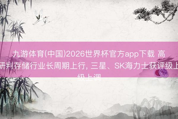 九游体育(中国)2026世界杯官方app下载 高盛研判存储行