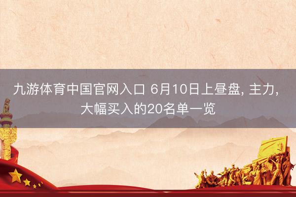 九游体育中国官网入口 6月10日上昼盘， 主力， 大幅买入的20名单一览