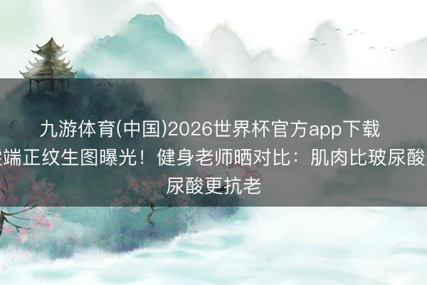 九游体育(中国)2026世界杯官方app下载 贾静雯端正纹生图曝光！健身老师晒对比：肌肉比玻尿酸更抗老