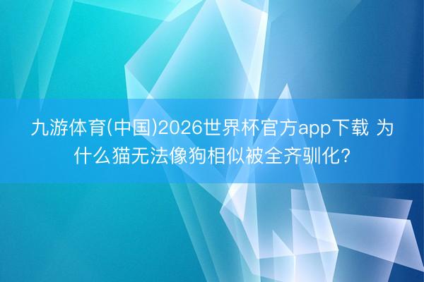 九游体育(中国)2026世界杯官方app下载 为什么猫无法像狗相似被全齐驯化?
