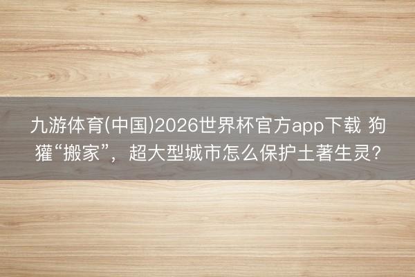 九游体育(中国)2026世界杯官方app下载 狗獾“搬家”，超大型城市怎么保护土著生灵?