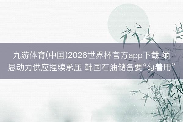 九游体育(中国)2026世界杯官方app下载 缅思动力供应捏续承压 韩国石油储备要“匀着用”